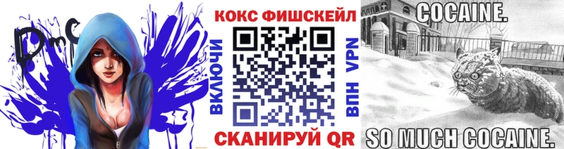 Cocaine FishScale  где найти наркотики  Дубовка 