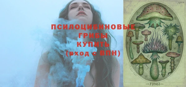кокс Алексин