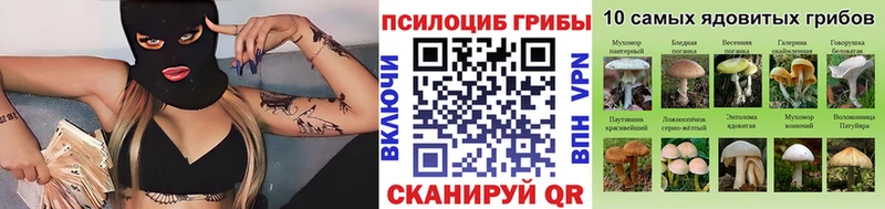 Галлюциногенные грибы мицелий  Дубовка 