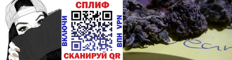 Конопля марихуана Дубовка